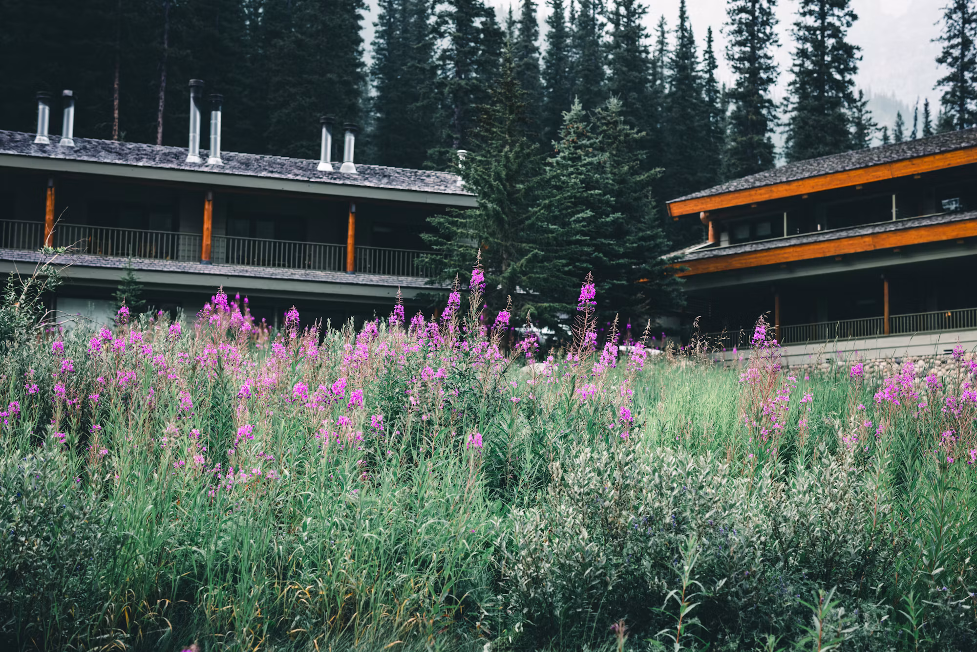 Exploring Urban Hiking: A Journey Through Cityscapes